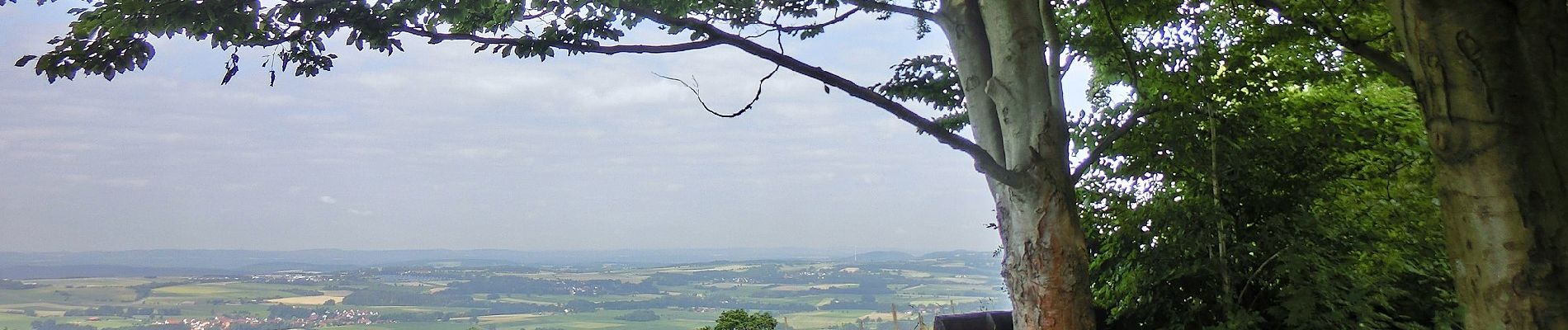 Tocht Te voet Goldkronach - Goldkronach Rundwanderweg Nr. 2 - Photo