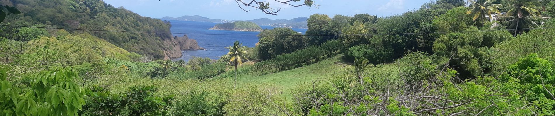 Tocht Noords wandelen Sainte-Marie - Boucle Sainte-Marie Belle Etoile - Photo