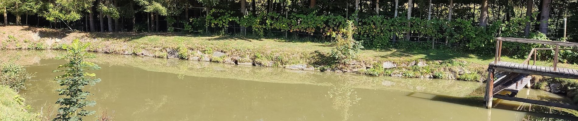 Randonnée A pied Bad Waltersdorf - S2 Hügelland Weg - Photo