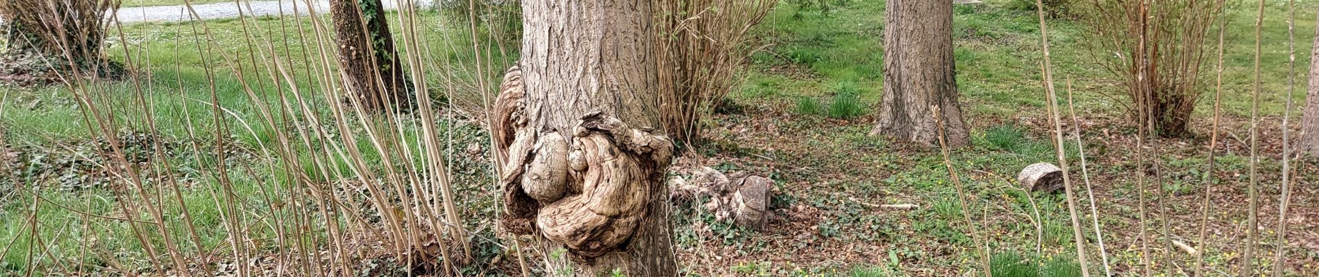 Randonnée Marche Gembloux - Gembloux 280322 - Photo