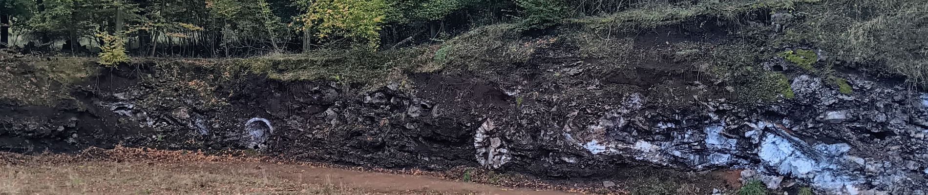 Randonnée Marche Seraing - site en réhabilitation du bois St jean  - Photo