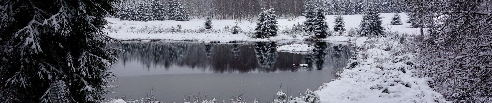 Tour Wandern Saint-Hubert - Saint-Hubert 08 janvier 2021_22km - Photo