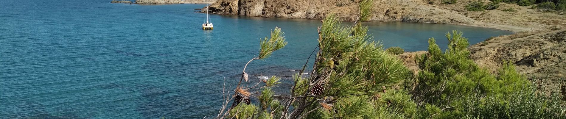 Randonnée Marche Cerbère - Cerbère Llança Litoral2 - Photo