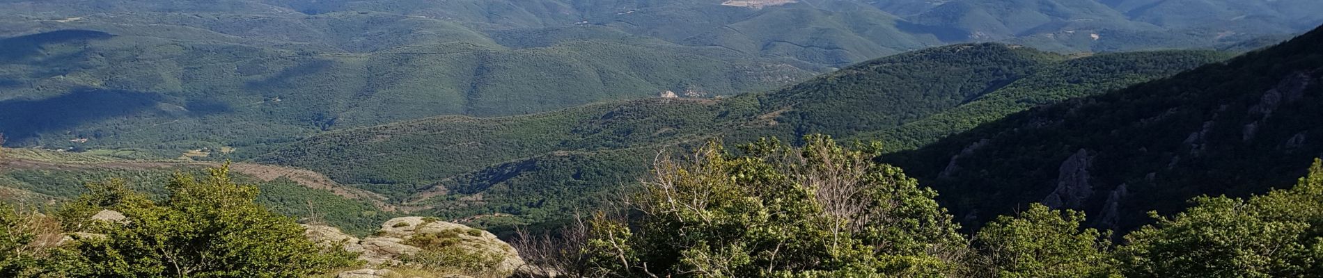 Tour Wandern Fraisse-sur-Agout - Lac de Vésoles - Photo