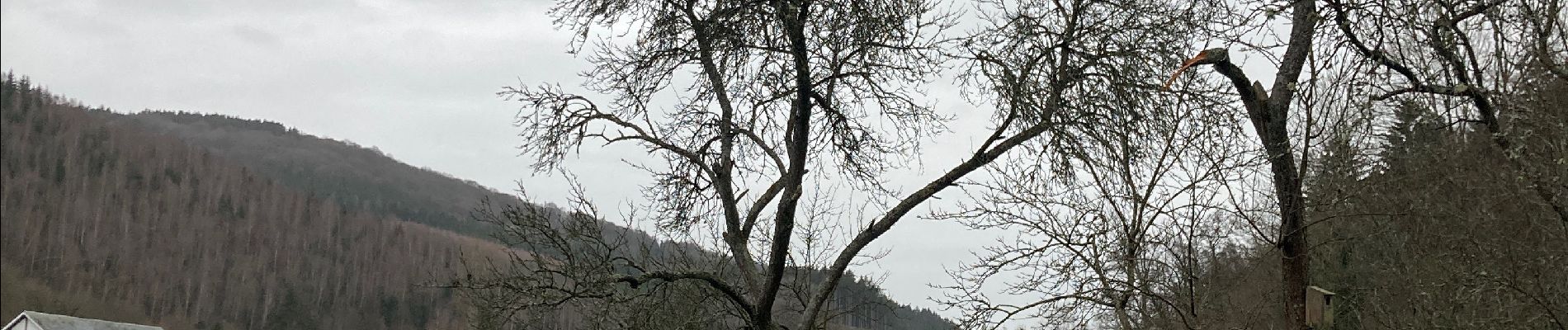 Randonnée Marche Lierneux - Boucle de Bra - Photo