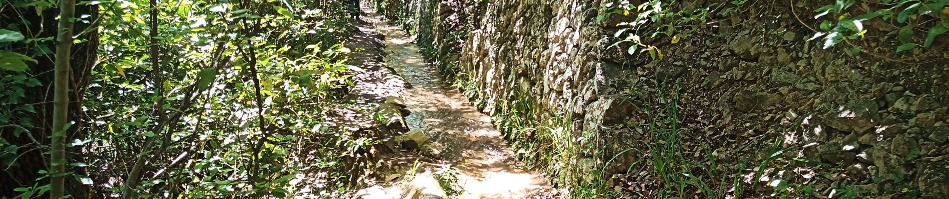 Randonnée Marche Signes - ruisseau du Latay - Photo