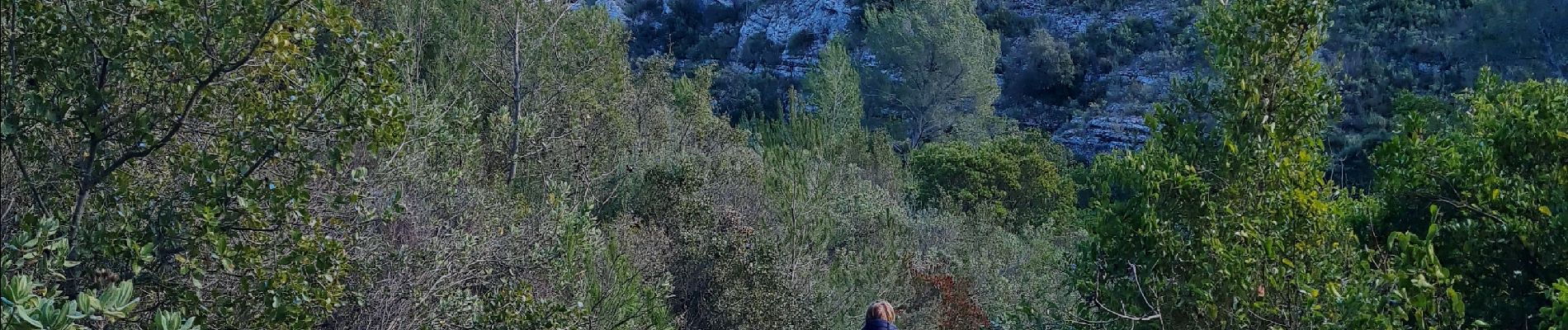 Tour Wandern Le Castellet - casllet - Photo