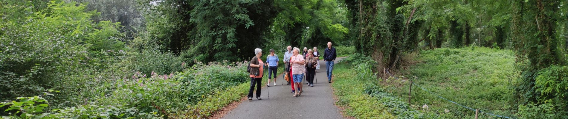 Tour Wandern Baudreix - BAUDREIX RS - Photo