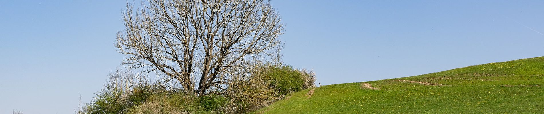 Tour Zu Fuß Warburg - A9 Rundwanderweg Hardehausen - Photo