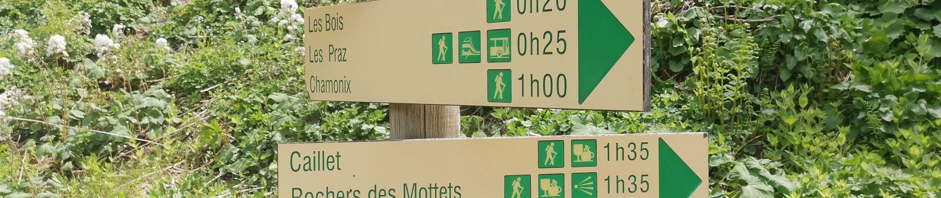 Trail Walking Chamonix-Mont-Blanc - CHAMONIX ... depuis le Montenvers.  - Photo