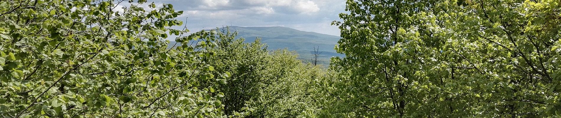 Percorso A piedi Pásztó - Z+ (Pásztó-Keresztesi nyereg) - Photo