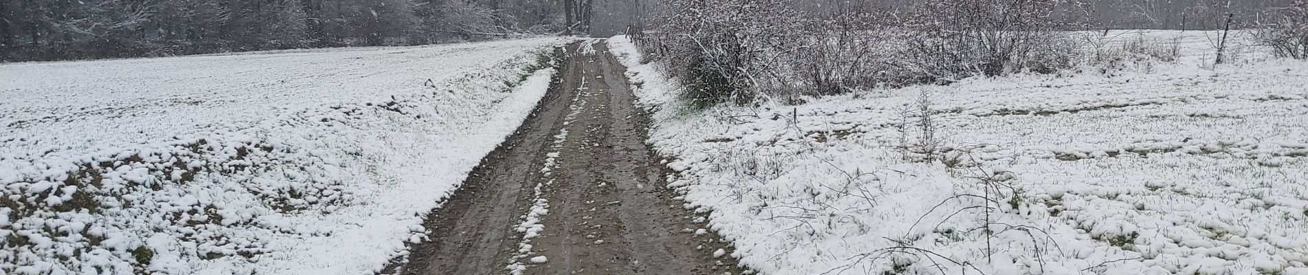 Randonnée Marche Jemeppe-sur-Sambre - Balade à Spy 14/01/21 - Photo