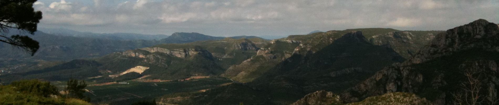 Excursión A pie Gandía - Senda de la Cova del Parpalló - Photo