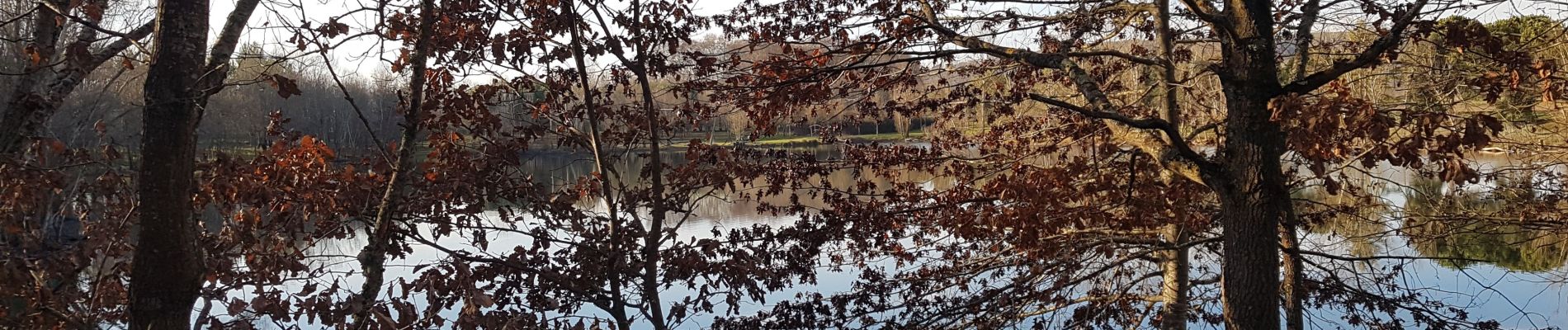 Tour Wandern Lamagistère - Coupet retenue canal lac bleu - Photo