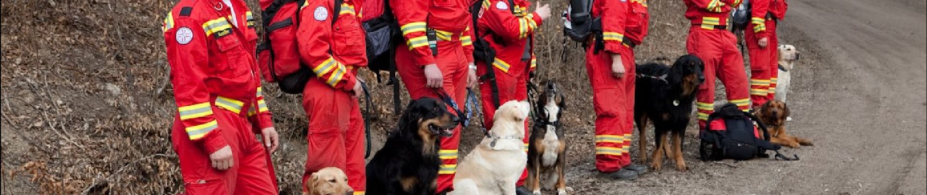 Randonnée A pied Laab im Walde - Laab im Walde - Breitenfurt - Ramaseck - Photo