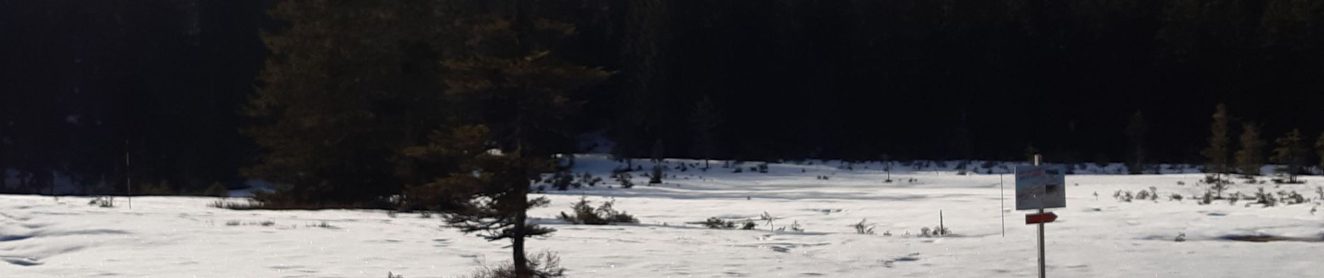 Excursión Senderismo La Bresse - les Champis  - Photo