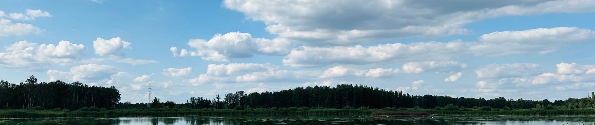 Tocht Stappen Zonhoven - de-wijers-platwijers-wijvenheide-instapplaats-paalsteen-groen 2 - Photo