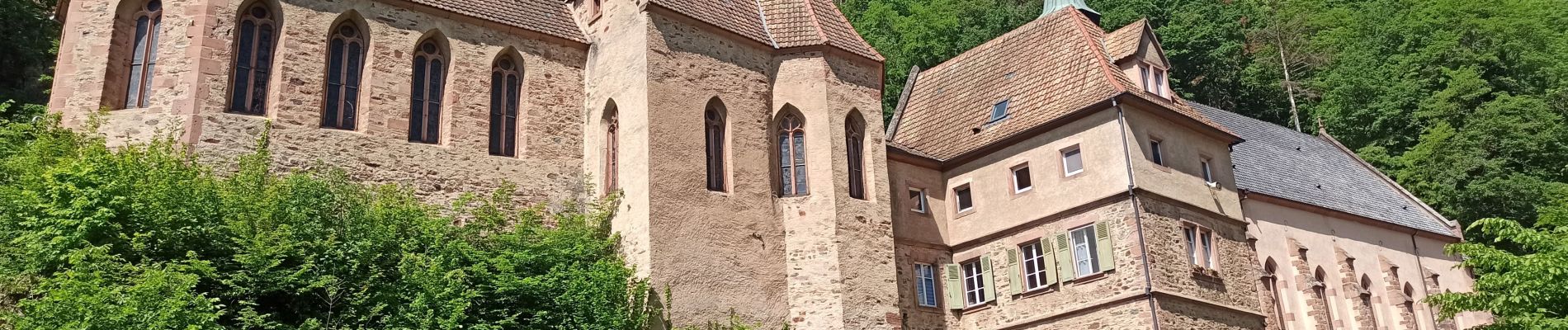 Randonnée Marche Ribeauvillé - 29-05-23 Ribeauvillé : rando des 3 Châteaux + Dusenbach - Photo