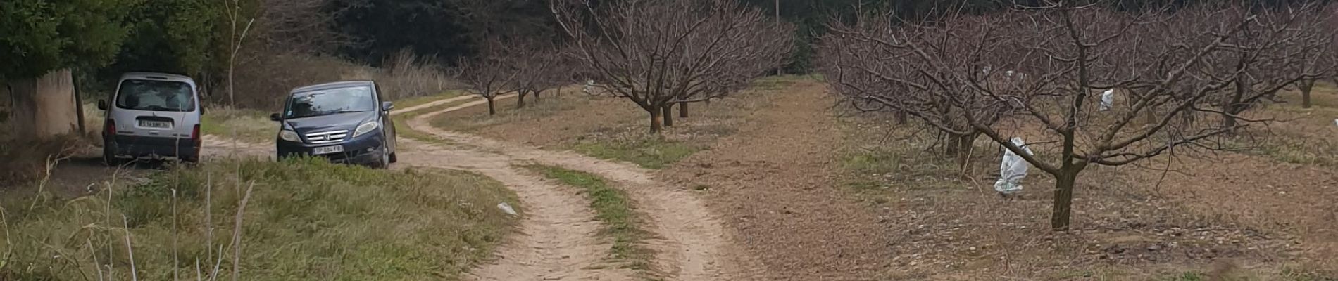 Trail Walking Loupian - ballade cambellies  - Photo