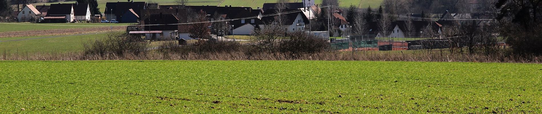 Randonnée A pied Neukirchen bei Sulzbach-Rosenberg - Neukirchener Juralandschaftsrundweg - Photo