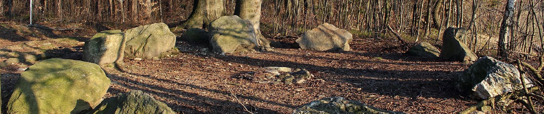 Percorso A piedi Gemeinde Krumbach - Schloß Krumbach - Hosien Rundwanderweg - Photo