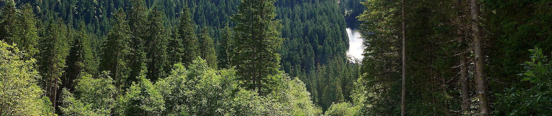 Tour Zu Fuß Krimml - Krimmler Wasserfälle Rundwanderweg - Photo