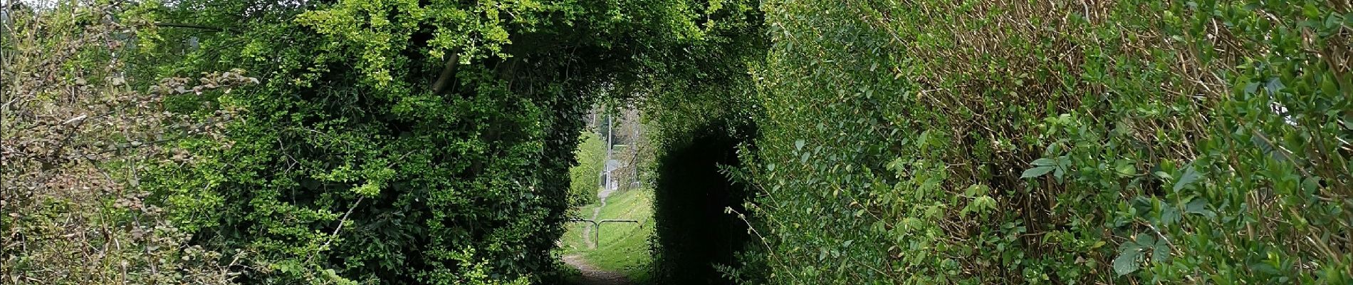 Tour Mountainbike Yvoir - GODINNE ... Petite & Grande Hulle / Jardins d'Annevoie. - Photo