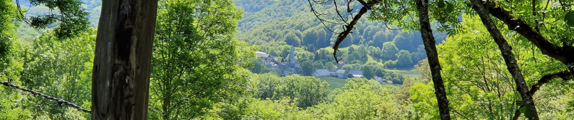 Tocht Stappen Compains - lac Moncineyre - Photo