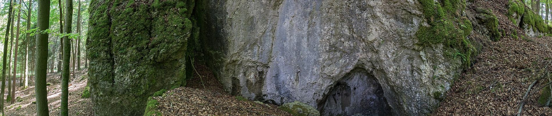 Trail On foot Alfeld - Rundweg um die Kirchthalmühle - Photo