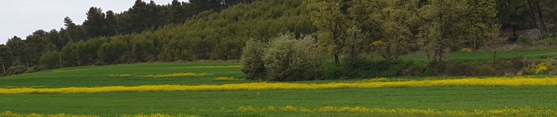 Trail Walking Gardanne - mur gueidan - Photo