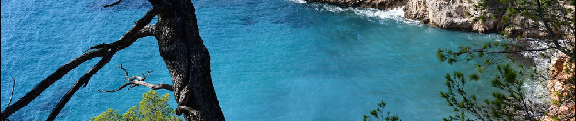 Excursión Senderismo Saint-Cyr-sur-Mer - Port de la Madrague - Pointes Fauconnière, des 3 Fours, du Défends, des Termes et des Engraviers - Bandol - Photo