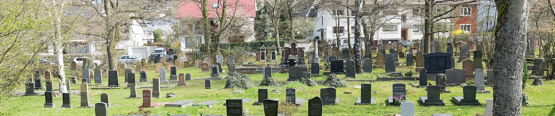 Excursión A pie Marburg - [B2] - Wanderweg des Verkehrs- und Verschönerungsvereins Marburg - Photo