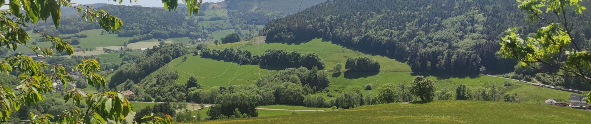 Randonnée V.T.T. Fréland - Fréland Lapoutroie Orbey  - Photo