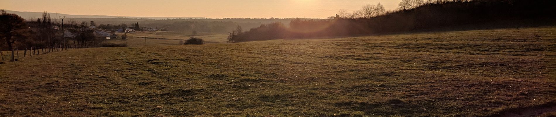 Tocht Mountainbike Rambervillers - sortie vtt du 17112018 rambervillers  - Photo