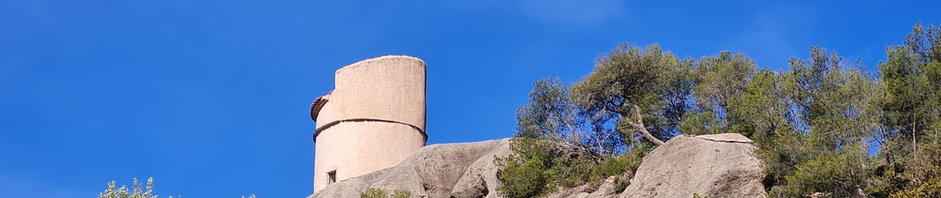 Randonnée Marche Le Revest-les-Eaux - Le tour du mt Caume - Photo