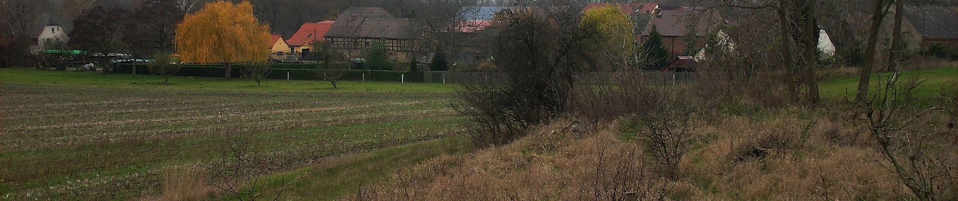 Randonnée A pied Leuna - Elster Floßgraben Wanderweg Kötzschau - Photo