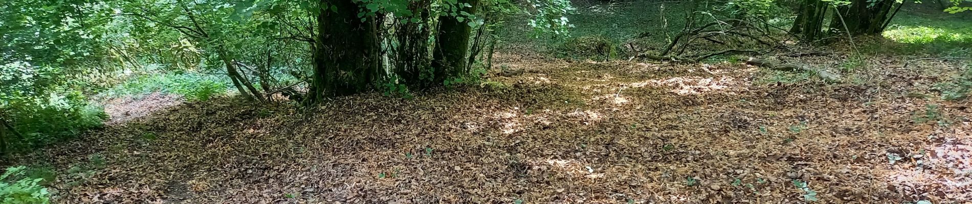 Tocht Stappen Souligny - Souligny 21km le 10/08/2020 - Photo