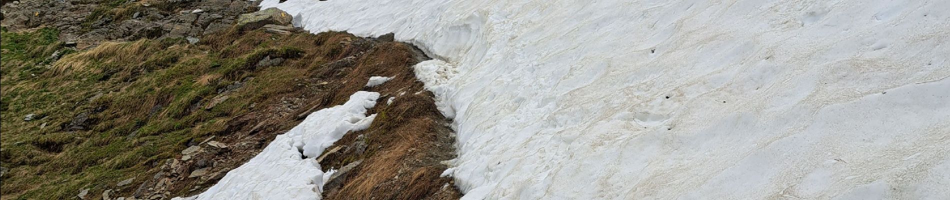 Trail Walking Chamonix-Mont-Blanc - La Jonction depuis le parking de Mont (Chamonix) - Photo