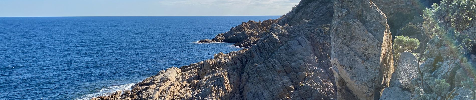 Tour Wandern Ramatuelle - Tour du phare Camarat  - Photo