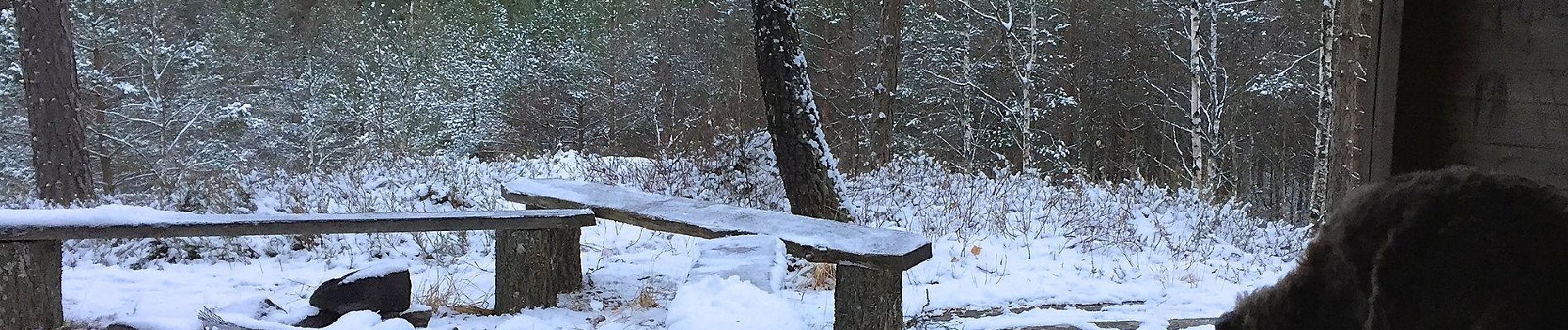 Tocht Te voet Onbekend - Vildmarksspåret Hjortgården 10km (gamla spåret) - Photo