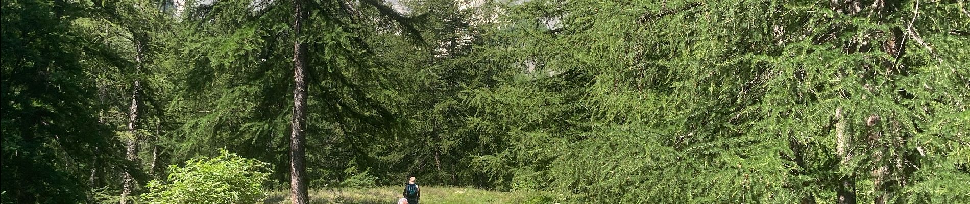 Tour Nordic Walking Le Monêtier-les-Bains - Lac de la douché par le tabac - Photo