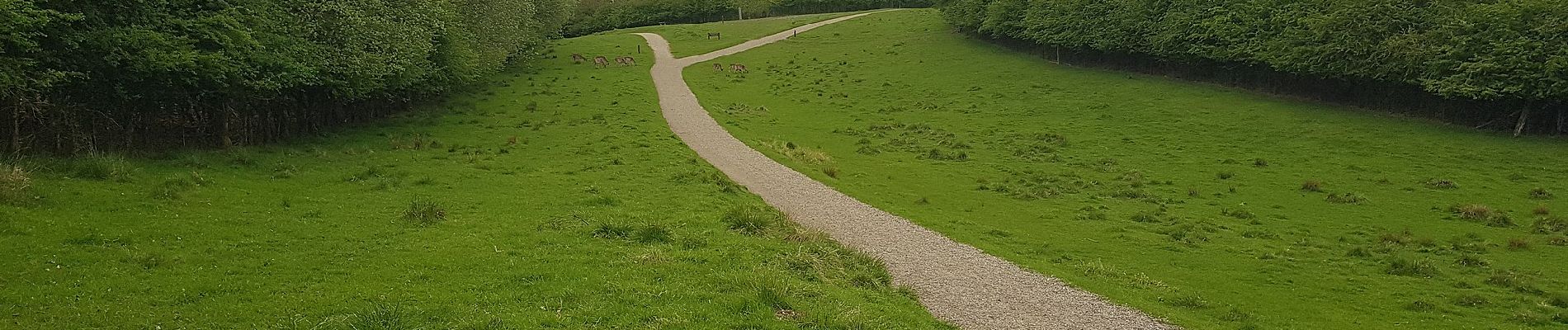 Tour Zu Fuß Unknown - Geheimeraadens Sti - Photo