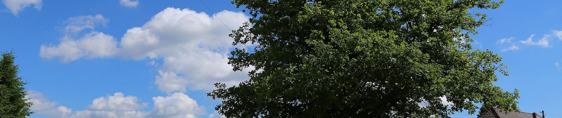 Tocht Te voet Byhleguhre-Byhlen - Wanderweg Byhlen-Byhleguhre - Photo