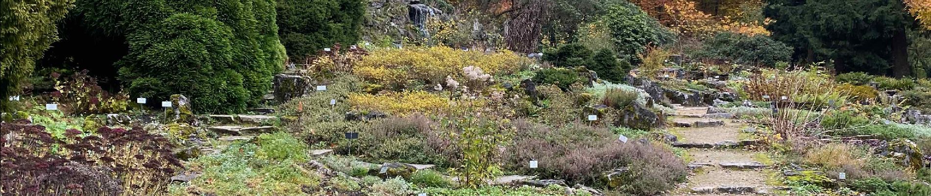 Tour Wandern Beersel - Dworp - Parc de Huizingen - Bois de Halle - Photo