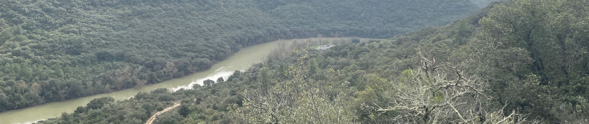 Trail Walking Saint-Guilhem-le-Désert - Le roc aux vignes - Photo