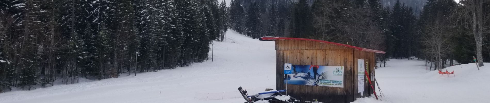 Tocht Langlaufen Sarcenas - Ski de fond - col de porte - Photo
