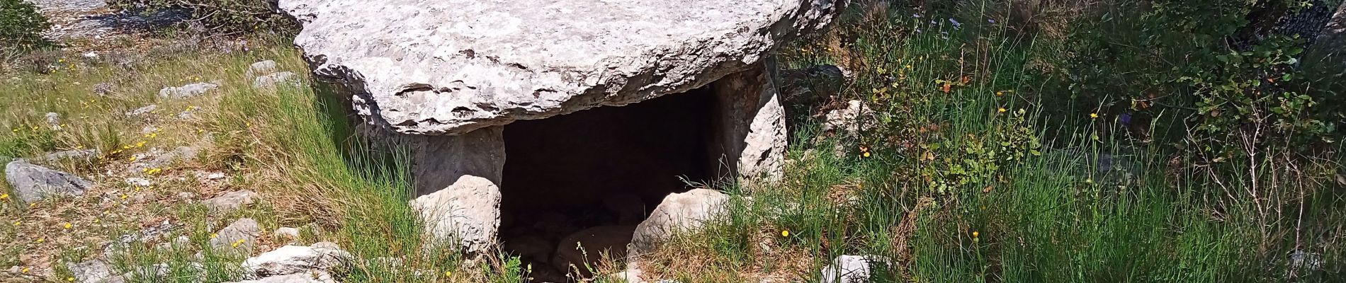 Trail Walking Banne - Dolmens - Photo