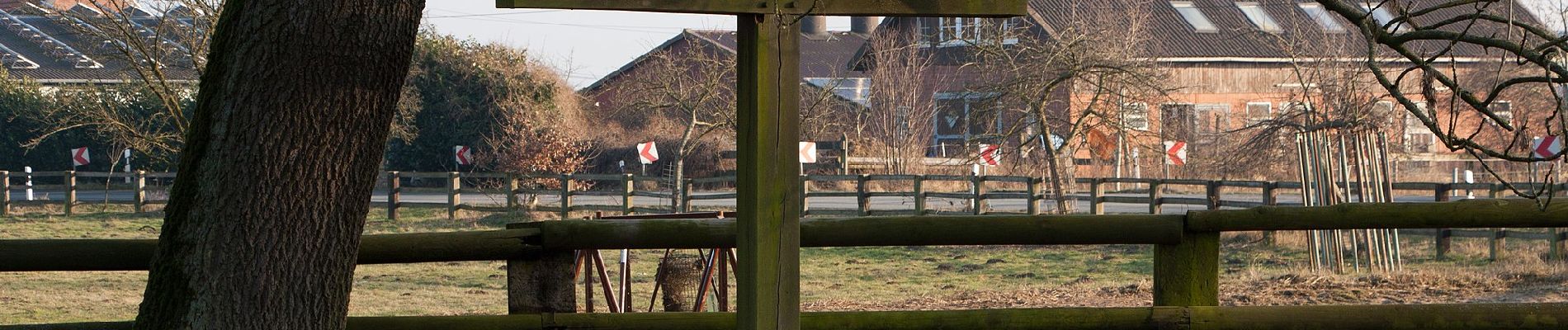 Tocht Te voet Haltern am See - Westruper Heide Rundweg A2 - Photo