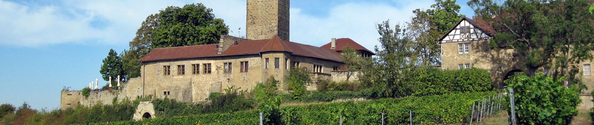 Tour Zu Fuß Sulzfeld - Trockenmauer-Weg - Photo