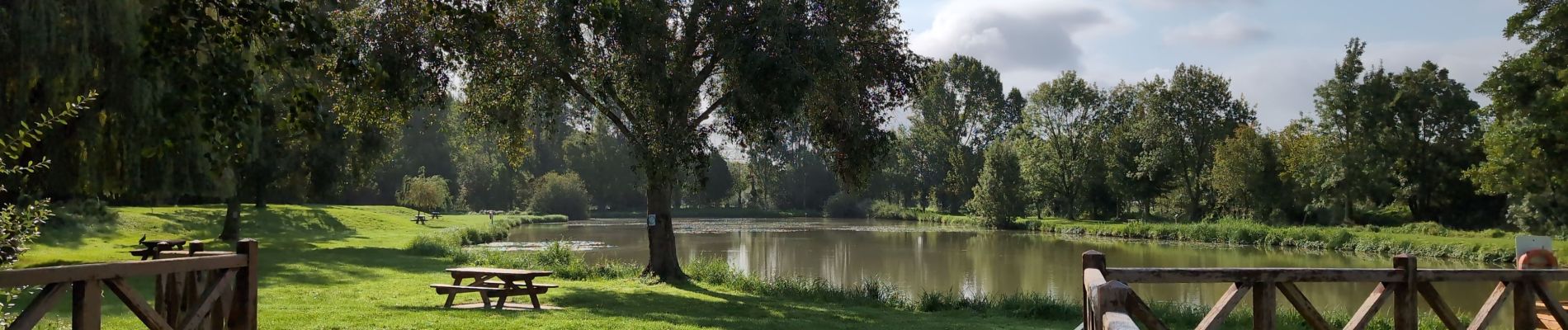 Randonnée Marche Champigny-sur-Veude - Champigny-sur-Veude - Richelieu Chaveignes - 23.2km 180m 5h15 (50mn) - 2024 09 10 - Photo